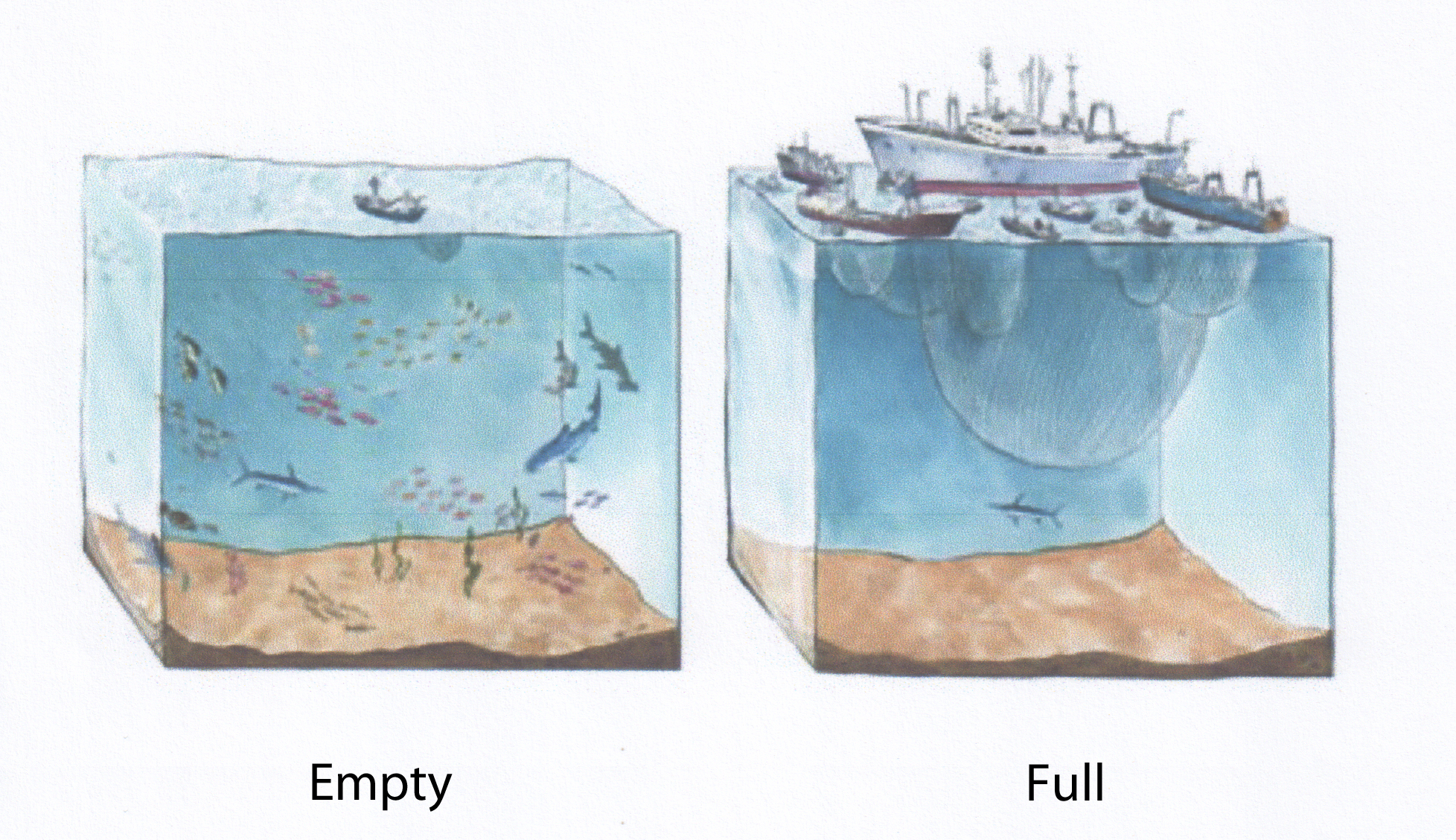 Change in limiting factors: Empty vs. full ecosystem