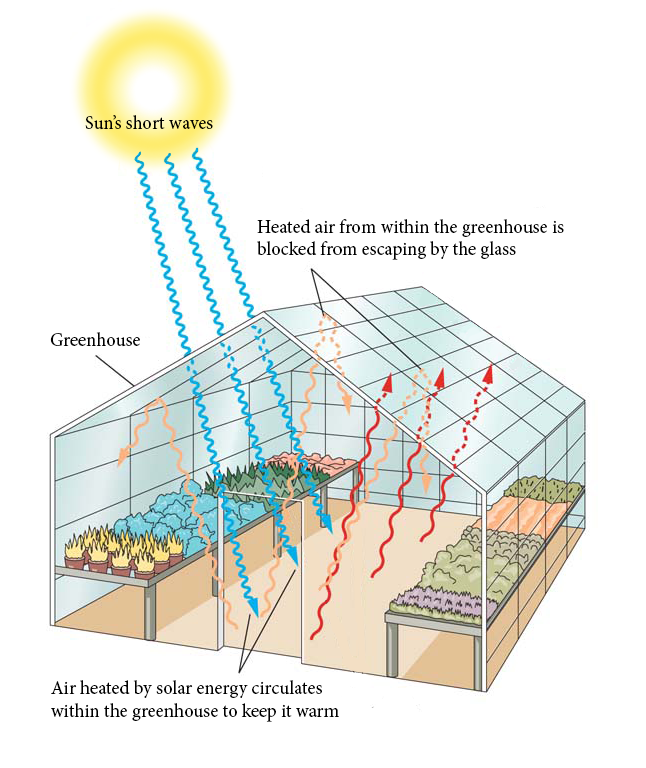4.7 Why is this warming near the surface called the greenhouse effect?
