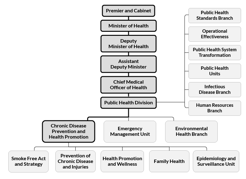 general provincial structure for the Ministry of Health, from Premiere to Minister of Health, Deputy Minister, Assistant Deputy, Chief Medical Officer