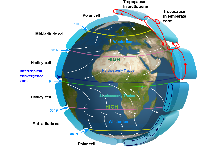 3g. Energy Transfers