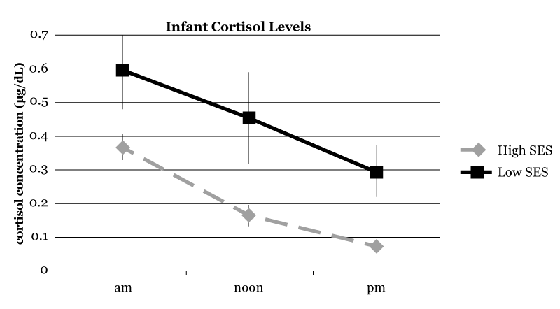 Infant cortisol levels by SES and time of day showing a decline from 0.6 mg/dL in am to 0.3 mg/dL in pm