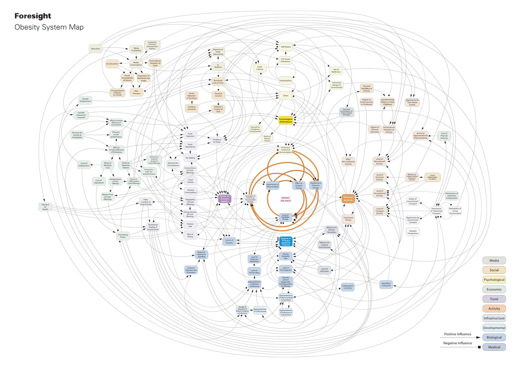 Obesity System Map