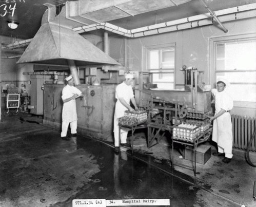 Workers operating the pasteurization machinery